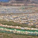 부식농장 이미지