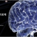 메디바이오코리아 주식회사 네이버블로그