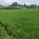 동읍1230 이미지