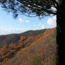 쉬자파크 이미지