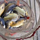 정안 낚시터 이미지