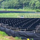 적벽강로 이미지