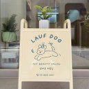 라우프독 이미지