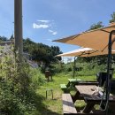 스테이서프픽 이미지