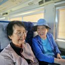 9월11일(목) 서해금빛열차--KTX로 떠나는 군산여행 이미지