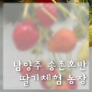 송촌호반농장 | 어린이와 딸기체험 가능한 시기 남양주 송촌호반 딸기농장