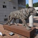 대구광역시 북구 어울아트센터 이미지