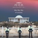 라이브펀치