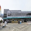 생명나무 한의원 이미지