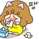 스피드메이트 이마트신제주점 이미지