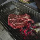 통영 학림도 전갱이 낚시여행-2 :: 통영, 학림 전갱이, 볼락 성공 조과