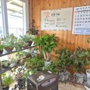 원골가든 이미지