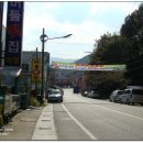 화개식당 Daum카페