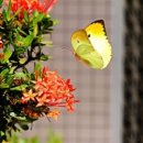 주정차010 이미지