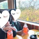 순천만국가정원 동문매점 이미지