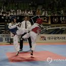 호국태권도체육관 이미지