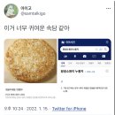 곱씹어 생각하기 좋은 소소한 트윗글 모음 10. twt 이미지