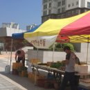 새빛푸드 이미지