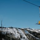 BLACK PINE RESORT 이미지