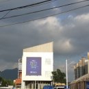 루트 231 이미지