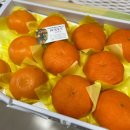 태현농장 이미지