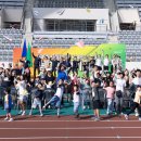 종이비행기 이미지