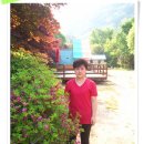 성현농장 Daum카페