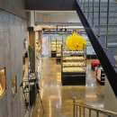 안경백화점 문막점 | 원주 단계동 안경, 렌즈, 선글라스는 안경백화점에서