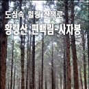 황령산(편백림~사자봉~황령산~금련산) 한바퀴 이미지