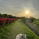 팔봉이 왕짬뽕 이미지