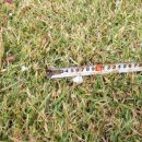 장준농장 이미지