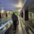 보현동물병원 | 🇲🇳 겨울몽골여행 1 | 엘상타사르헤 (미니사막) | 낙타 타기, 모래 썰매, 허르헉