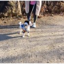 하서원 민박 이미지