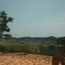 하루민박 이미지