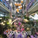 랜드마크 | 봄꽃 가득🌸 천안 랜드마크195 카페 후기(feat.칠리스)