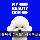 마이뷰티독 스타필드 부천점 이미지
