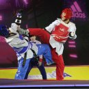 한국체대승리태권도 이미지