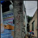 문턱바구 이미지