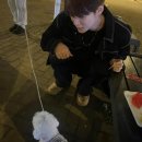 <b>비투비</b> 이민혁, 길에서 만난 '귀요미' 강아지 품에 안고 찰칵!