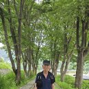 청정아리풍차펜션 이미지