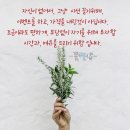 꽃별샵