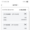 [판매완료]LDF pay 팝니다. 이미지