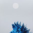 정재석농장 이미지