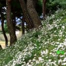 충의공원(충혼탑) 이미지