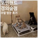 경의 | 포인핸드 경의숲점 주말 방문 후기 및 주차