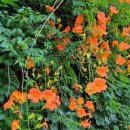 공원로370번길 이미지