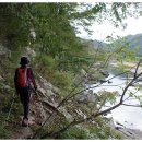 송사리 천지갑산 주차장 이미지