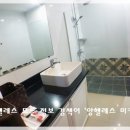 루비약국 이미지