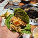 거북이동네울산삼산 | 울산 가성비 삼산동고기집 거북이동네 울산삼산점