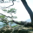 송화정 Daum카페